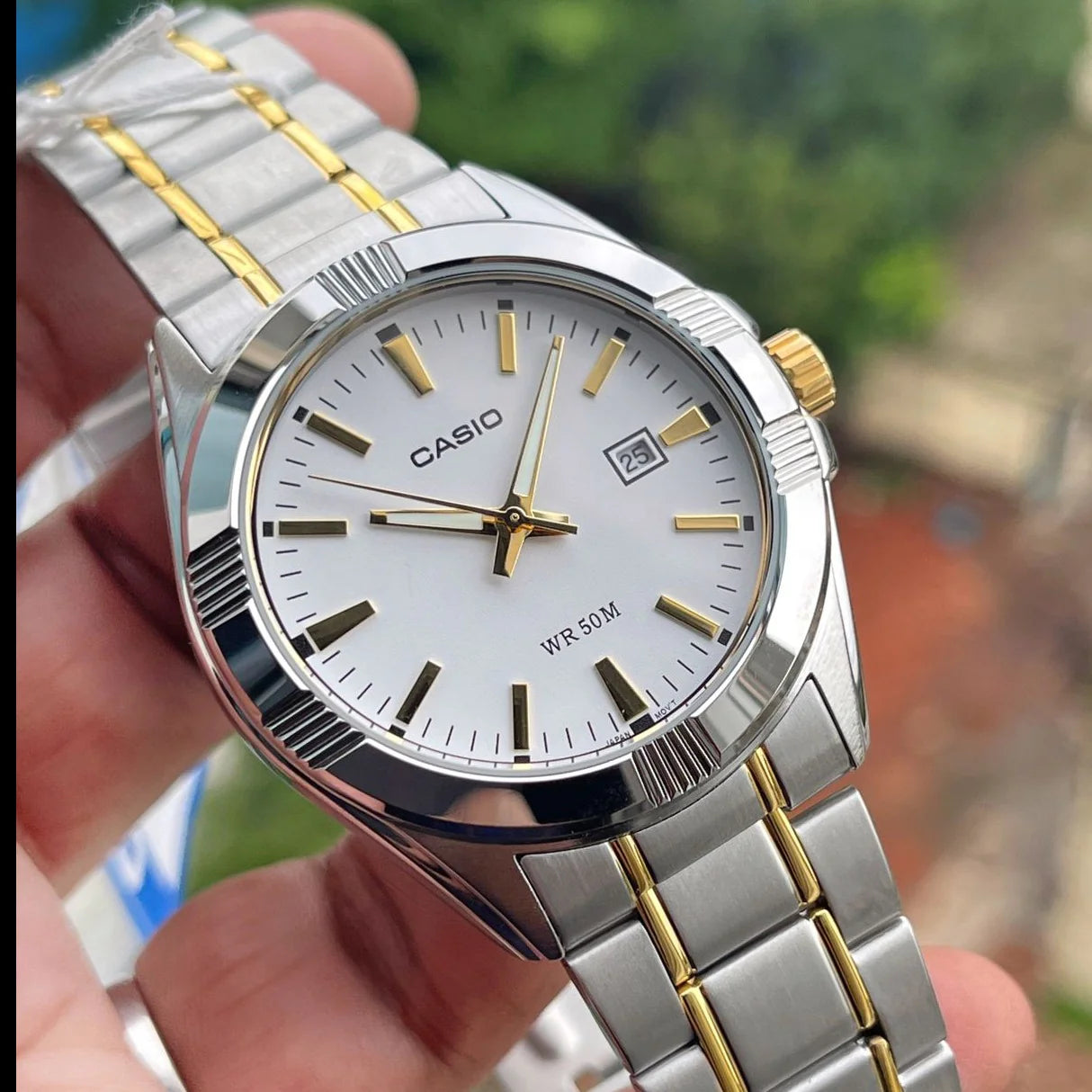 Reloj Casio LTP-1308SG-7AV Mujer - Análogo