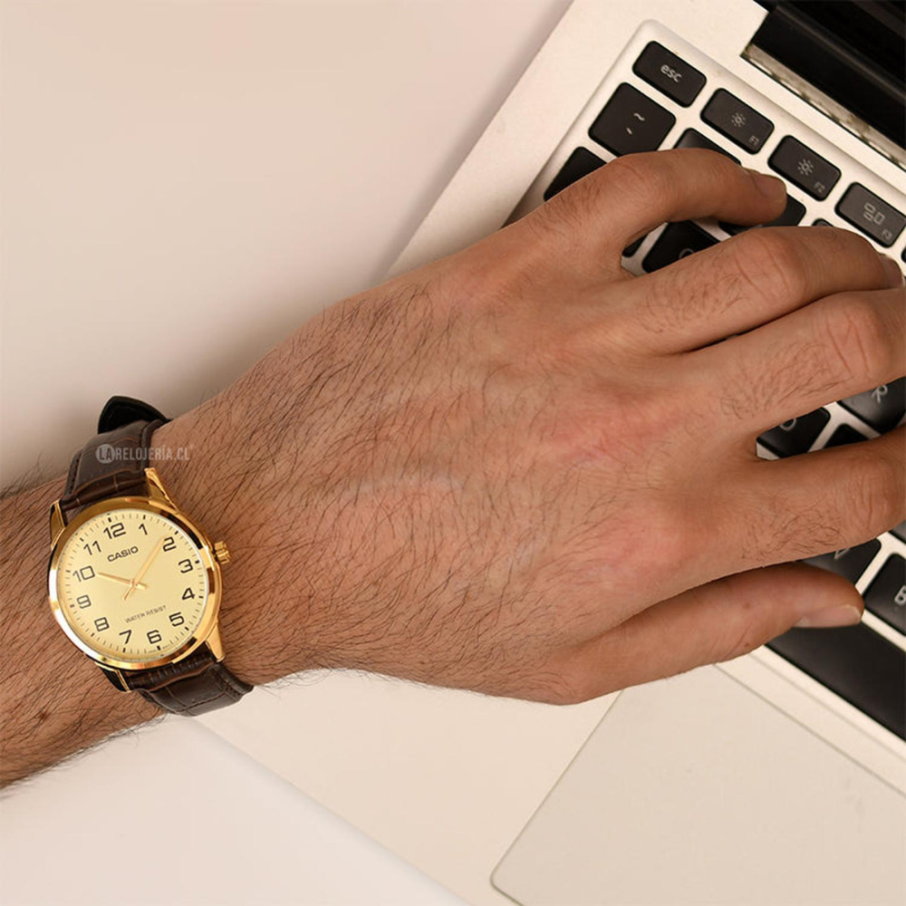 Reloj Casio MTP-V001GL-9B Hombre - Análogo