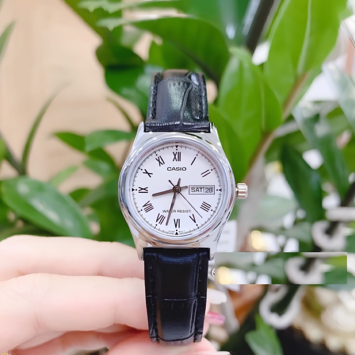 Reloj Casio LTP-V006L-7B Mujer - Análogo